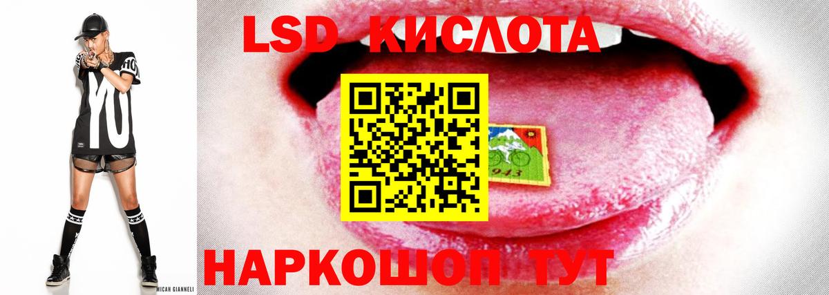 Бошки Шишки Карталы