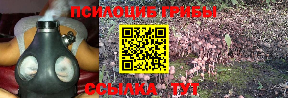 Карталы  Псилоцибиновые грибы Psilocybe  Вход с VPN 