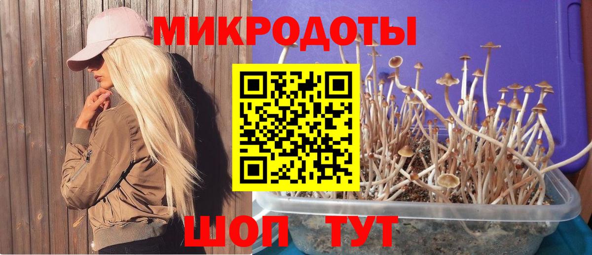 Галлюциногенные грибы Cubensis Карталы